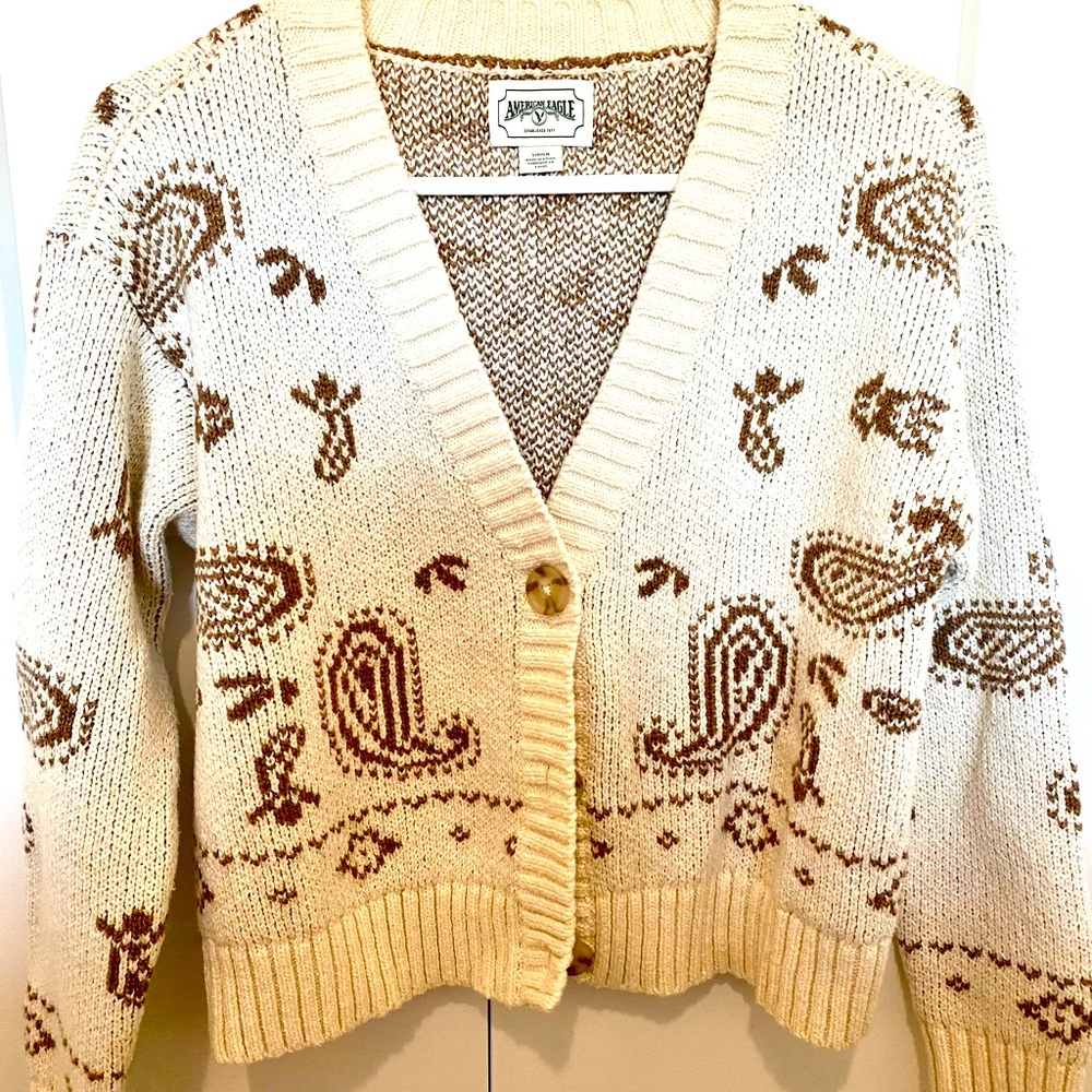 American Eagle Cropped Sweater